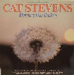 Cat Stevens: Morning Has Broken (LP) - Bild 1