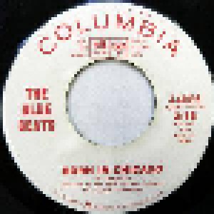 Cover - Blue Beats, The: Born In Chicago