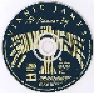 Vinnie James: All American Boy (CD) - Bild 3