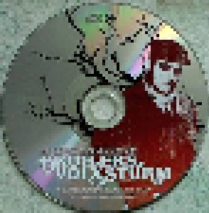 Broilers + Volxsturm: Good Fellas Never Split E.P. (Split-Mini-CD / EP) - Bild 3