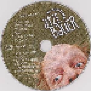 Atze Bauer: Was gscheid's (CD) - Bild 3
