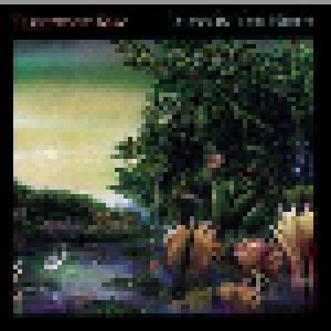 Fleetwood Mac: Tango In The Night (LP) - Bild 1