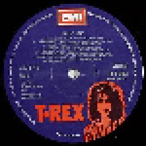 T. Rex: Great Hits (LP) - Bild 3