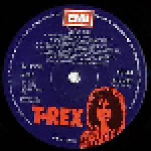 T. Rex: Great Hits (LP) - Bild 4