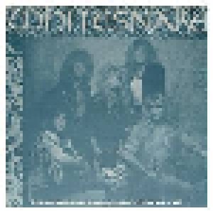 Whitesnake: The Return Of The Snakes Tour '87-'88 (2-LP) - Bild 1