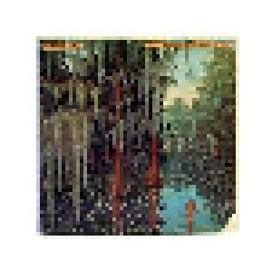 Tommy McLain: Backwoods Bayou Adventure (LP) - Bild 1