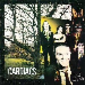 Cardiacs: On Land And In The Sea (CD) - Bild 1