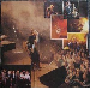 Rainhard Fendrich: Das Konzert (LP) - Bild 4