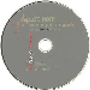 Depeche Mode: One Night In Paris The Exciter Tour 2002 (2-CD) - Bild 4