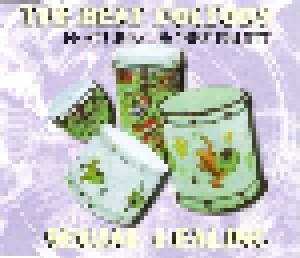 The Beat Doctors Feat. Bobby Pruitt: Sexual Healing (Single-CD) - Bild 1