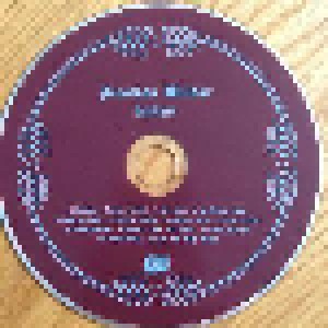 Jonathan Wilson: Fanfare (2-LP + CD) - Bild 10