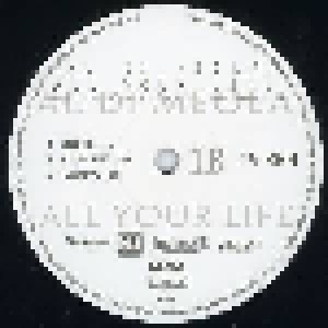 Al Di Meola: All Your Life (2-12") - Bild 3
