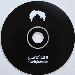 Gravenhurst: Flashlight Seasons (Promo-CD) - Bild 3
