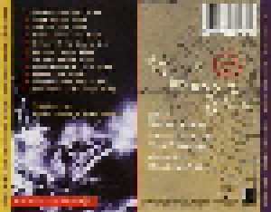 Steve Morse Band: Structural Damage (CD) - Bild 2