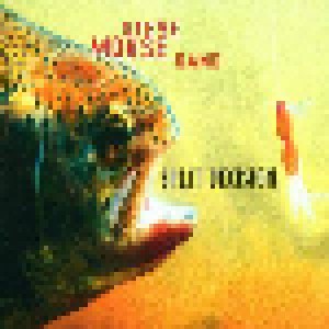 Steve Morse Band: Split Decision (CD) - Bild 1