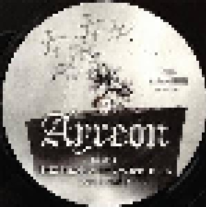 Ayreon: Limited Edition 7" (7") - Bild 3