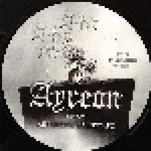 Ayreon: Limited Edition 7" (7") - Bild 4