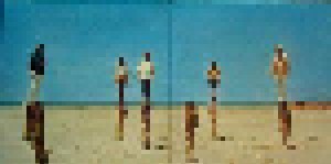 The Beach Boys: 20 Grössten Hits (LP) - Bild 4