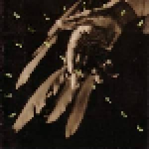 Bad Religion: Generator (CD) - Bild 1