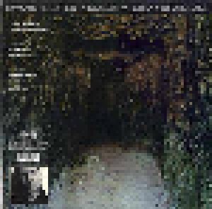 Jarboe + Michael Gira: Drainland/Sacrificial Cake (Split-3-LP) - Bild 1