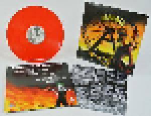 Zerfall: Ostkreuz In Flammen (LP) - Bild 1