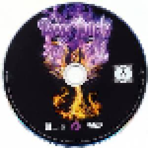Deep Purple: Phoenix Rising (Blu-Ray Disc) - Bild 5