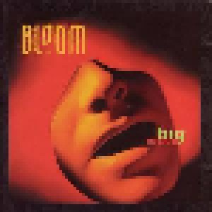 Bloom: Big Block (CD) - Bild 1