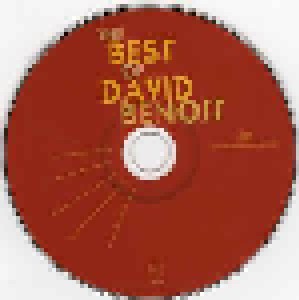 David Benoit: The Best Of David Benoit 1987-1995 (CD) - Bild 3