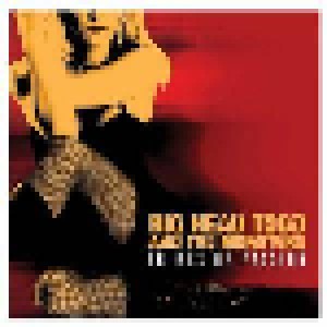Big Head Todd & The Monsters: Crimes Of Passion (CD) - Bild 1