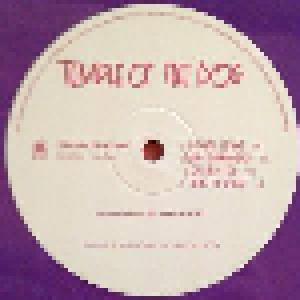 Temple Of The Dog: Temple Of The Dog (2-LP) - Bild 4