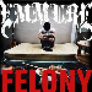 Emmure: Felony (LP) - Bild 1