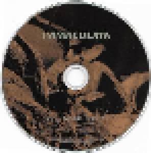 Immaculata: All Dead Here (CD) - Bild 4