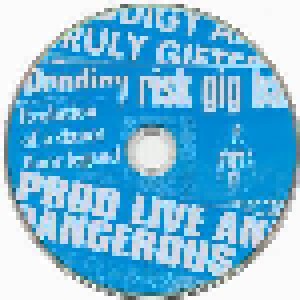 The Prodigy: Their Law - The Singles 1990-2005 (DVD) - Bild 5