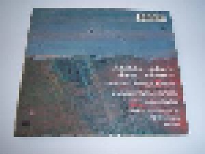 Buffalo Tom: Taillights Fade (Single-CD) - Bild 2