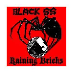 Black SS + Raining Bricks: Black SS / Raining Bricks (Split-7") - Bild 1