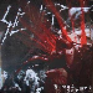 Slayer: Bleed For Me ! (LP) - Bild 1