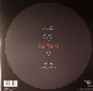 The Fauns: Lights (CD) - Bild 2