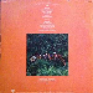 Paul Simon: The Rhythm Of The Saints (LP) - Bild 3