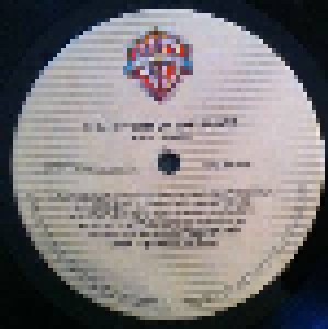 Paul Simon: The Rhythm Of The Saints (LP) - Bild 5