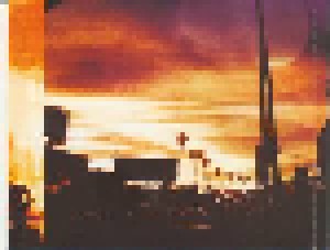 Ryan Adams: Ashes & Fire (CD) - Bild 3