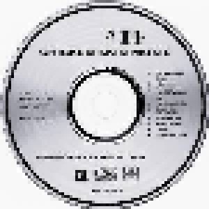 Ry Cooder: Chicken Skin Music (CD) - Bild 3