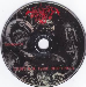 Soulgrind: LADIT A.D. 1999: BIHTTPOTB (Promo-CD) - Bild 3