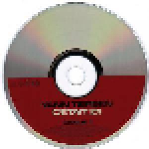 Yann Tiersen: C'était ICI (2-CD) - Bild 3