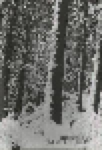 Moloch: Abstrakter Wald (Tape) - Bild 1
