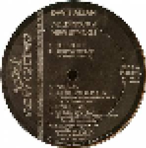 Davie Allan: Old Neck And New Strings (LP) - Bild 3