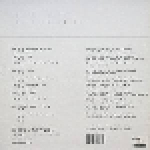 Binemusic Presents Various Artists | 2010 (2-LP) - Bild 2