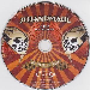 Schandmaul: 1998-2013 / 15 Jahre Folk'n Roll - So Weit, So Gut (2-CD) - Bild 7