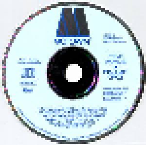 Stevie Wonder: In Square Circle (CD) - Bild 2