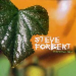 Steve Forbert: Evergreen Boy (CD) - Bild 1
