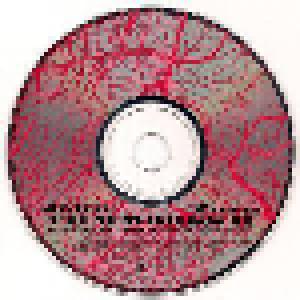 John Zorn: Filmworks II: Music For An Untitled Film By Walter Hill (CD) - Bild 4